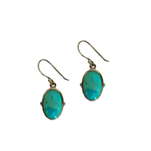 Har G Silver 925 Hallmark Sterling Silver Drop Earrings 0.7L x 1.5W x 3.5H cms Blue Turquoise Stone Earring Women-grils Perfect for everyday wear/any occasion wear and great gifting idea